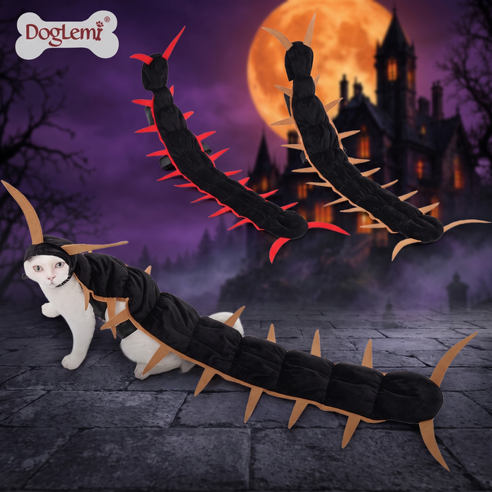 Costume for Halloween when going out — Hallowicked hero (SUKITPD00053)