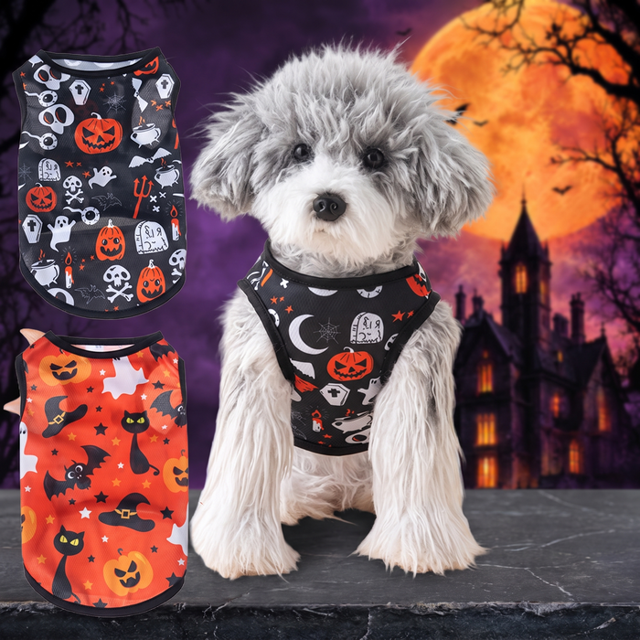 Halloween Pet Vest Pumpkin Print — Hallowicked hero (SUPEGDA00051)
