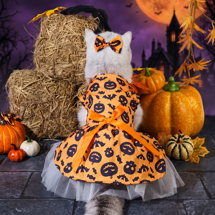 Halloween Christmas Pet Dog Dress Wizard Skirt Bat Costume — Hallowicked hero (SU00031468)