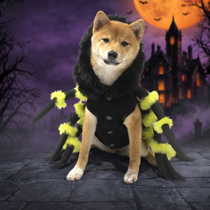 Funny Pet Spider Costume for Halloween and Cosplay — Hallowicked hero (SU00031293)