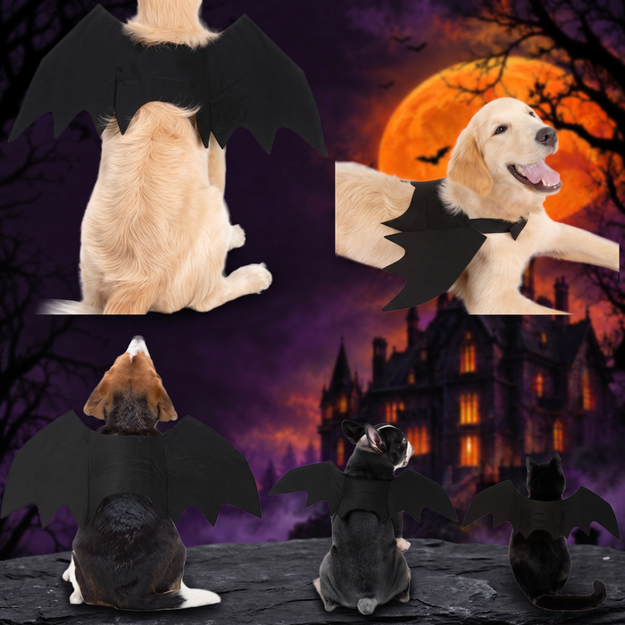 Pet Halloween Bat Wings Costume — Hallowicked hero (SU00028515)
