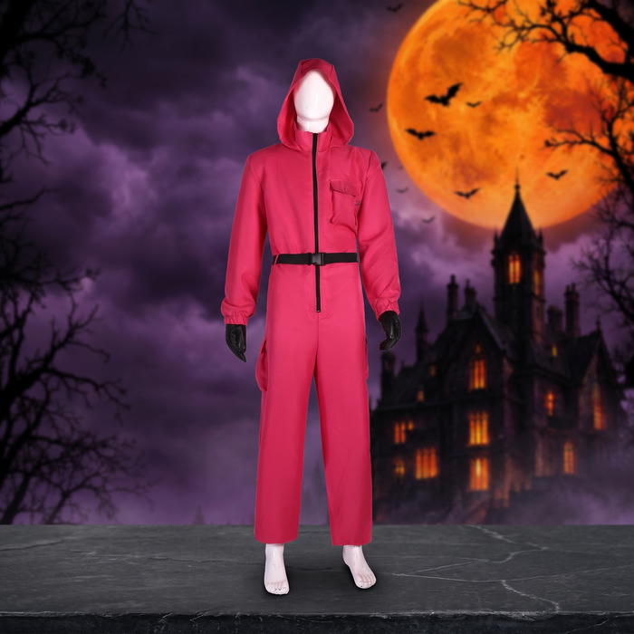 Halloween Costume — Hallowicked hero (SU00032835)