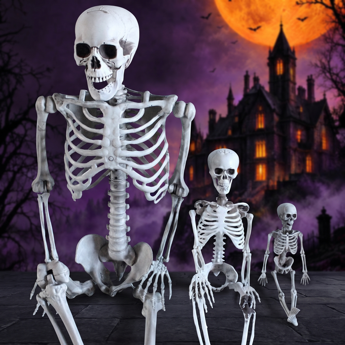 Skeleton for Halloween Haunted House Decoration — Hallowicked hero (SU00021766)