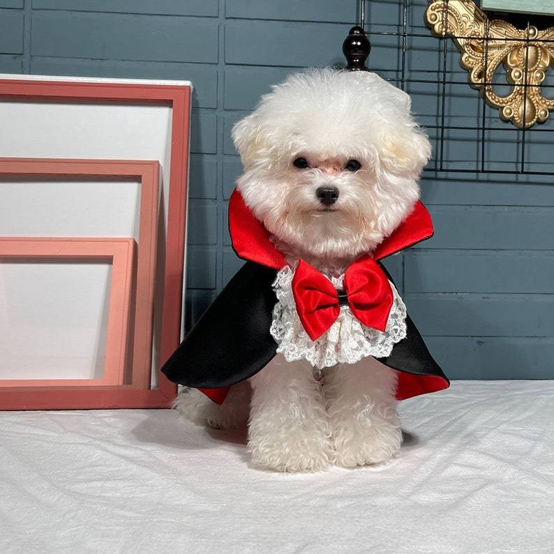 Pet Vampire Cloak Halloween Costume - Satin