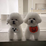 Halloween Dog Bib - Pumpkin, Ghost and Black Cat Designs