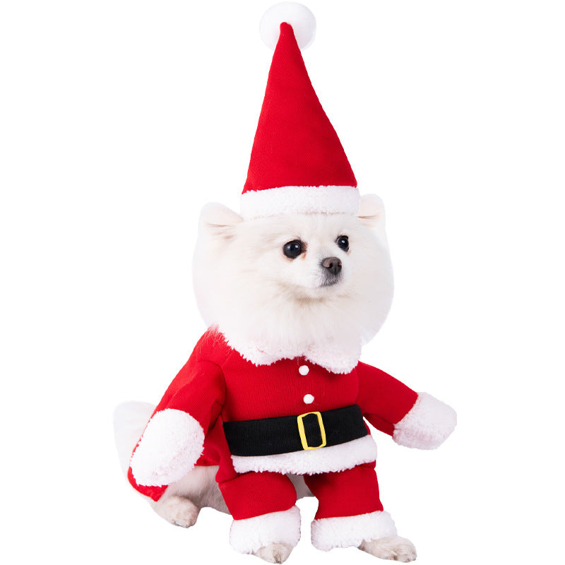 Funny Pet Halloween Costume Dress - Polyester