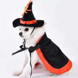 Funny Pet Halloween Costume - Polyester