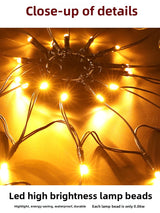 Halloween Glowing Spider Lights