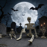 Halloween Plastic Skeleton Props and Bones