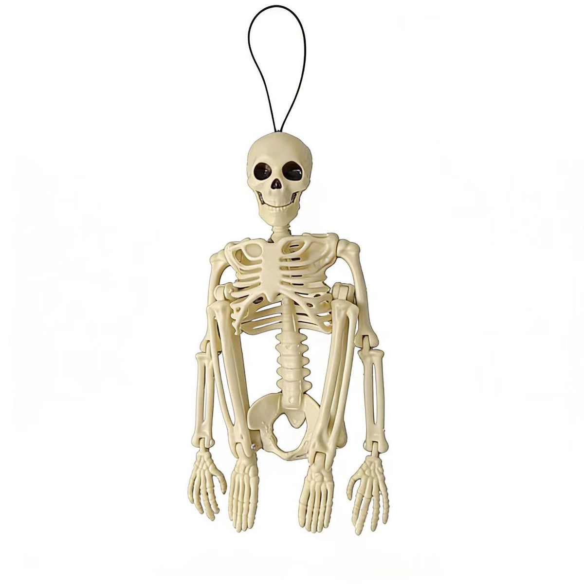 Halloween Plastic Skeleton Props and Bones