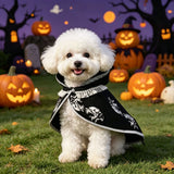 Halloween Pet Cape Costume - Acrylic