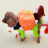Halloween and Christmas Pumpkin Pet Costume - Cloth