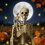 Halloween Plastic Skeleton Props and Bones