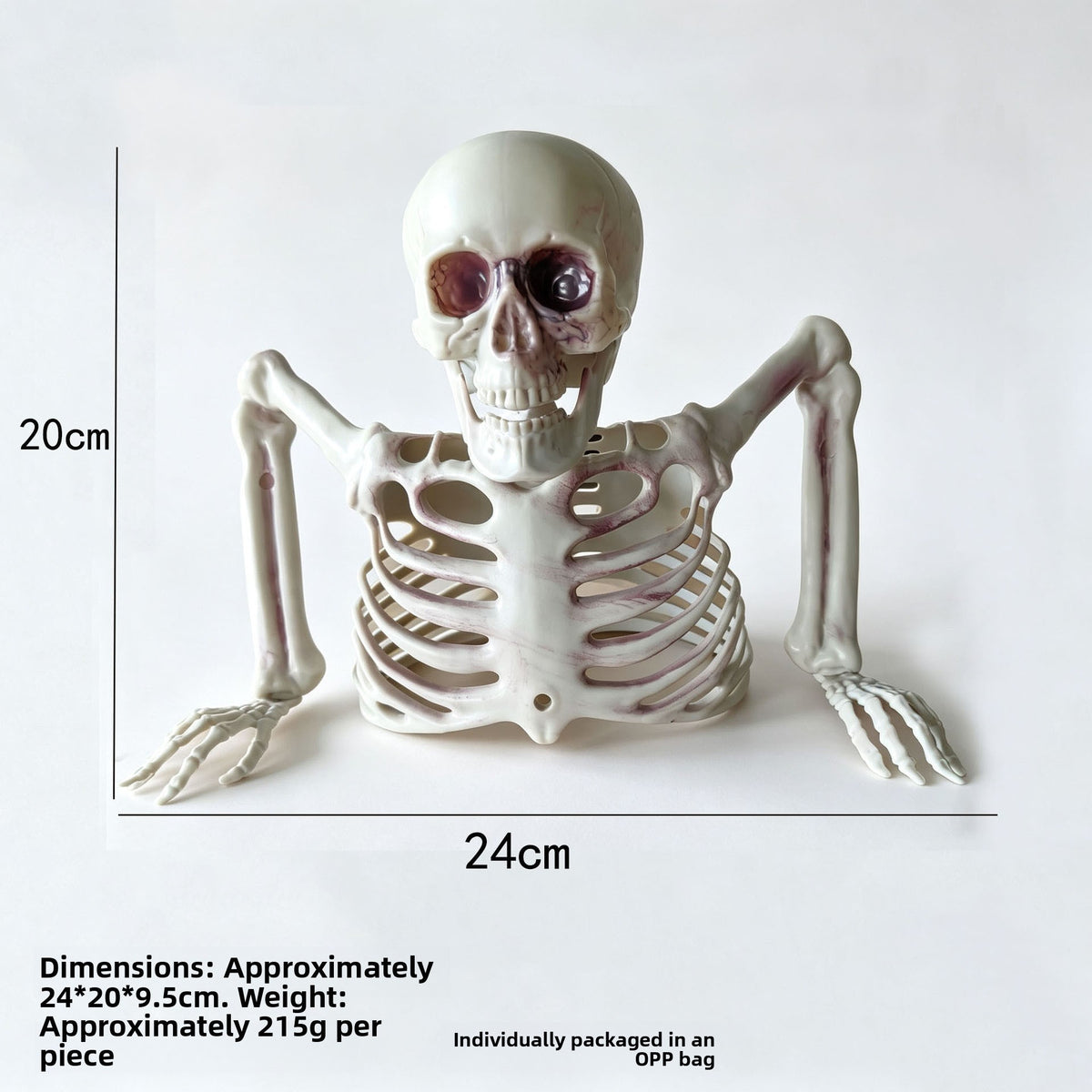 Halloween Plastic Skeleton Props and Bones