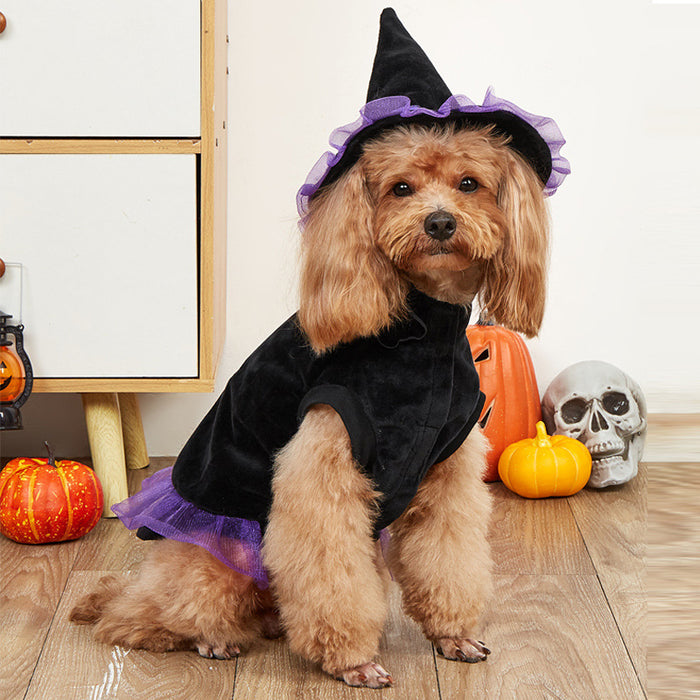 Wizard Pet Costume Halloween Dog Cat Outfit - Polyester