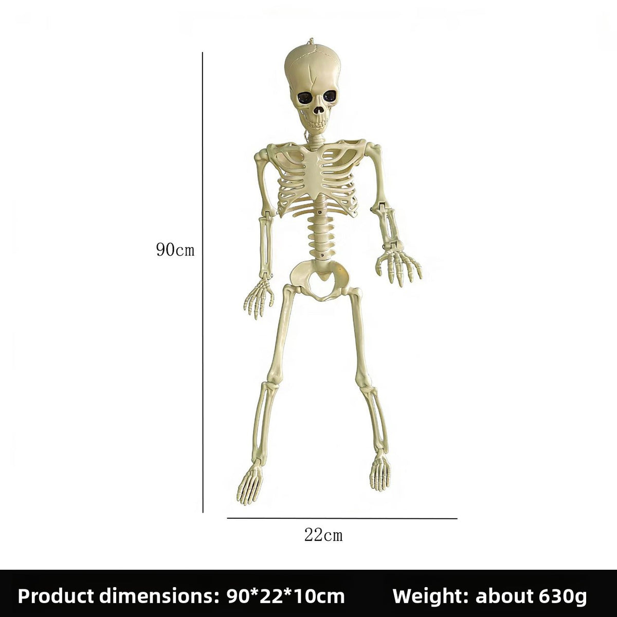 Halloween Plastic Skeleton Props and Bones