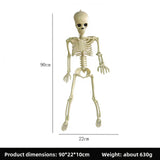 Halloween Plastic Skeleton Props and Bones