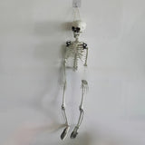 Halloween Plastic Skeleton Prop