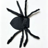 Pet Spider Halloween Costume - Cloth