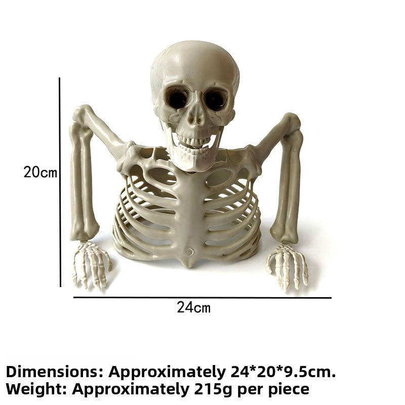 Halloween Plastic Skeleton Props and Bones