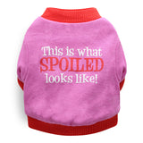 Halloween and Christmas Pet Costumes - Cotton