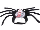 Halloween Cat and Dog Costume - Cloth