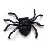 Pet Spider Halloween Costume - Cloth
