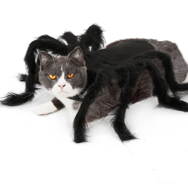 Halloween Pet Spider Costume