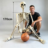 Halloween Plastic Skeleton Decoration