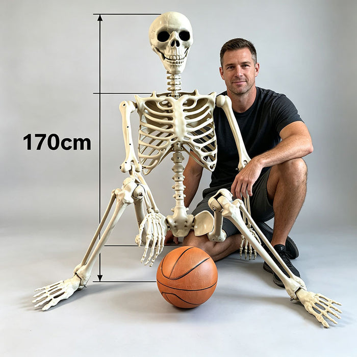 Halloween Plastic Skeleton Decoration
