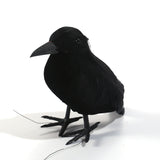Halloween Black Crow Feather Decoration
