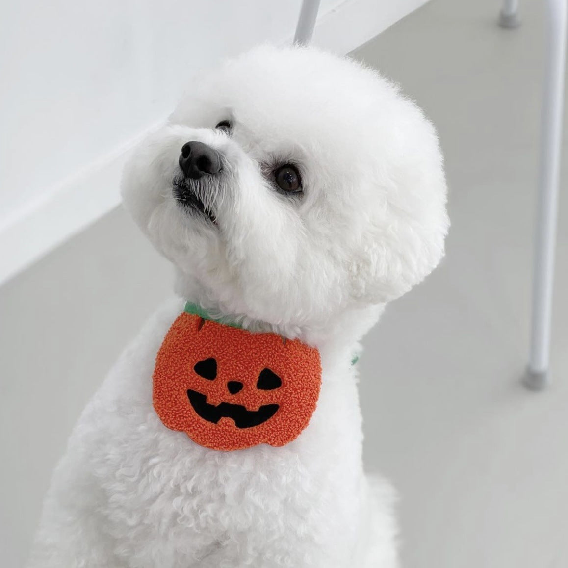 Halloween Dog Bib - Pumpkin, Ghost and Black Cat Designs