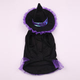 Wizard Pet Costume Halloween Dog Cat Outfit - Polyester