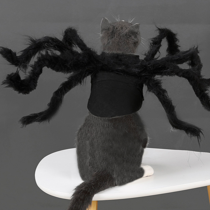 Halloween Pet Spider Costume