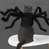 Halloween Pet Spider Costume
