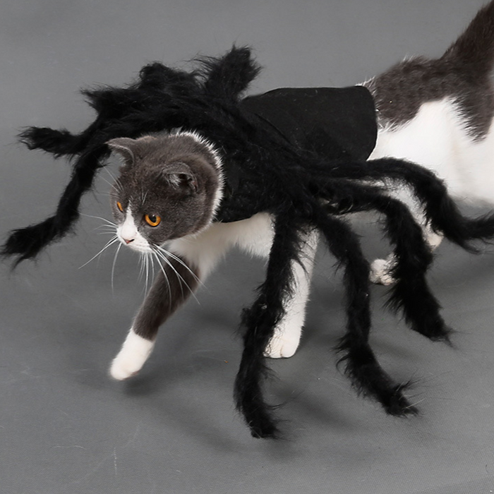 Halloween Pet Spider Costume