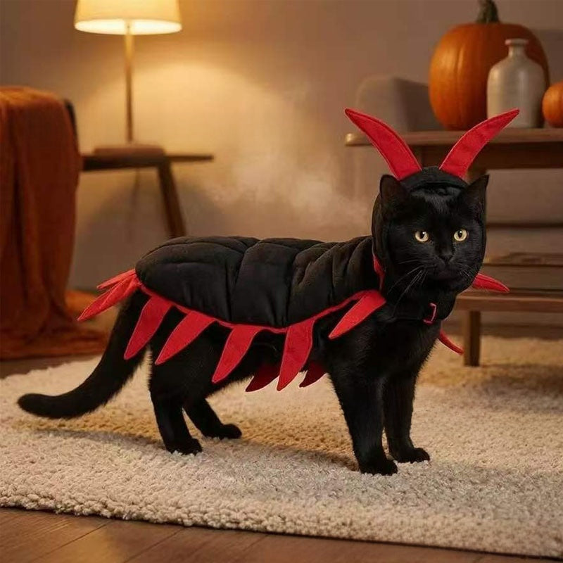 Halloween Cat Costume