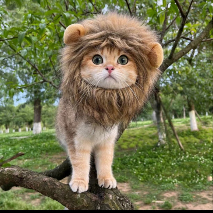 Halloween Lion Mane Hat for Dogs and Cats - Acrylic