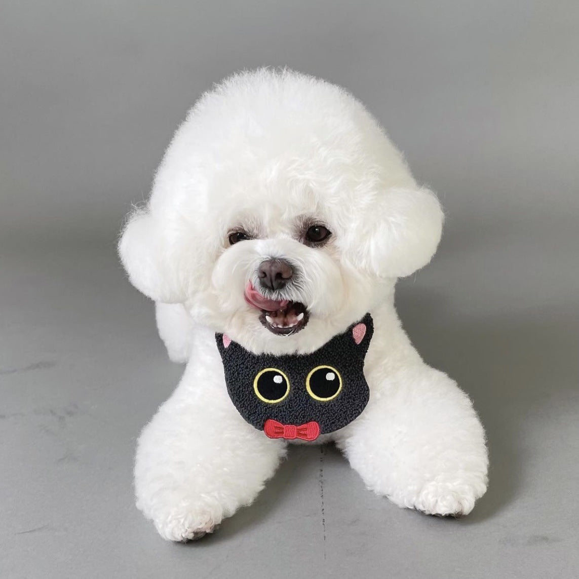 Halloween Dog Bib - Pumpkin, Ghost and Black Cat Designs