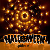 Halloween Spider Web Light with Remote Control