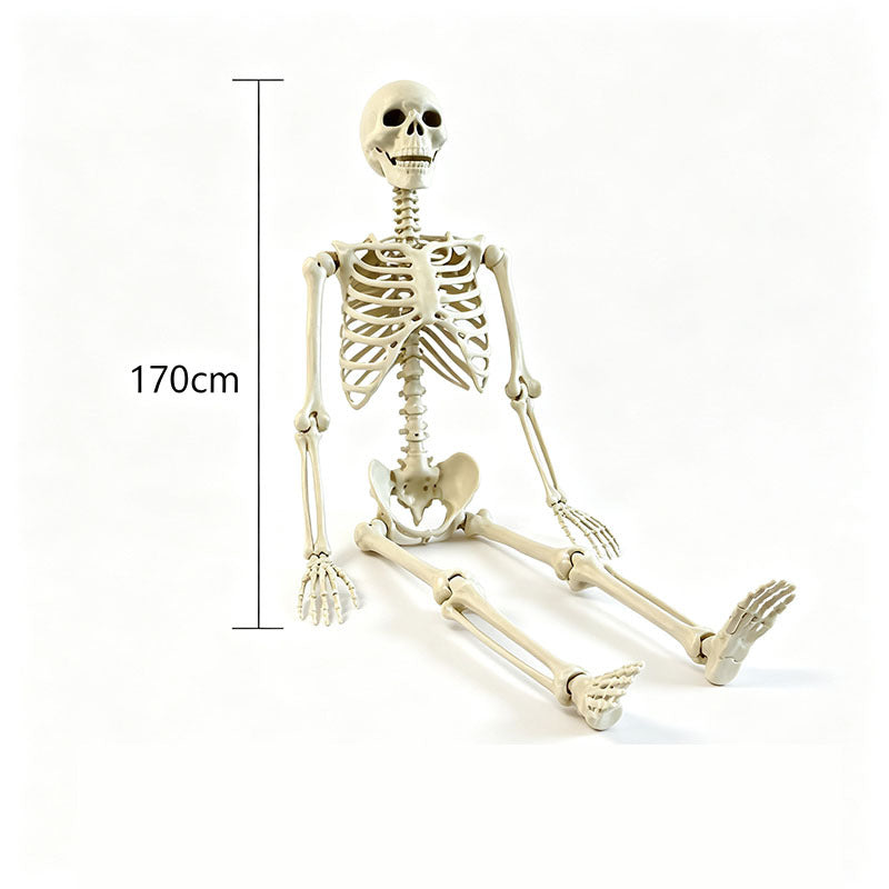 Halloween Plastic Skeleton Decoration