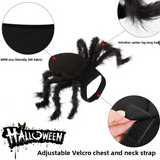 Halloween Pet Spider Costume