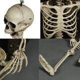 Halloween Plastic Skeleton Prop
