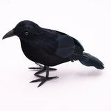 Halloween Black Crow Feather Decoration