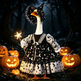 Halloween Witch Costume for Porch Goose Decoration