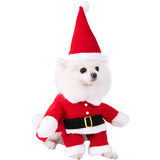 Funny Pet Halloween Costume Dress - Polyester