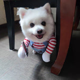 Halloween Costume for Dogs and Cats - Cloth