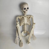 Halloween Haunted House Skeleton Decoration
