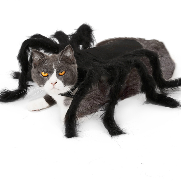 Halloween Pet Spider Costume