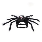 Halloween Cat and Dog Costume - Cloth